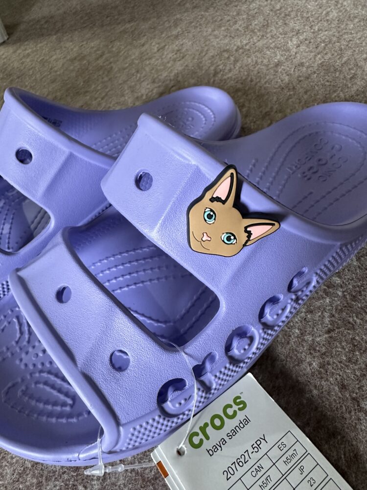 クロックスのネコ